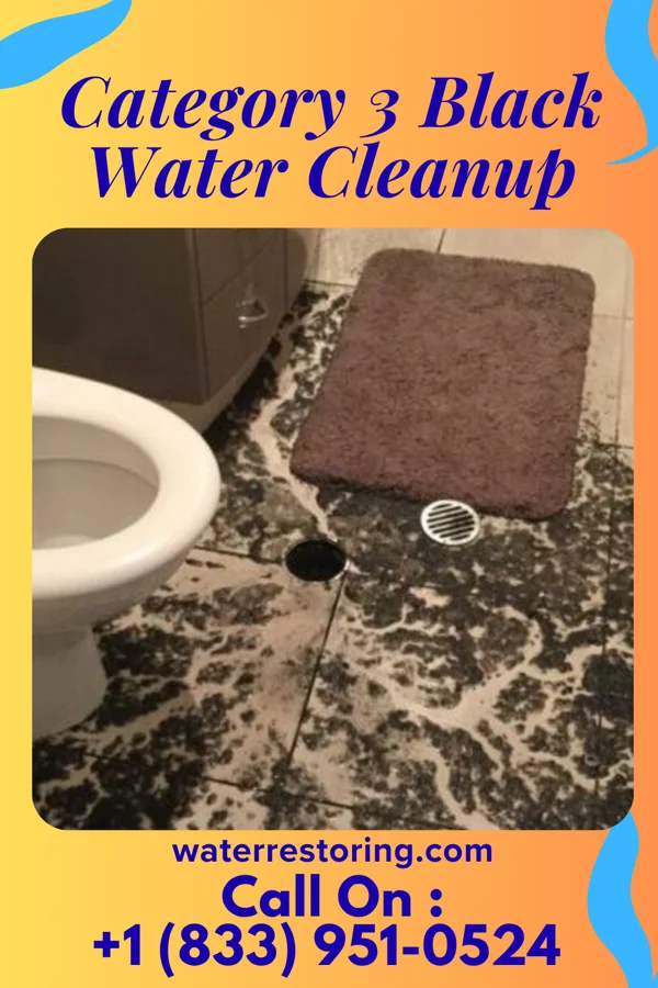 Category 3 Black Water Cleanup in Fayetteville, OH