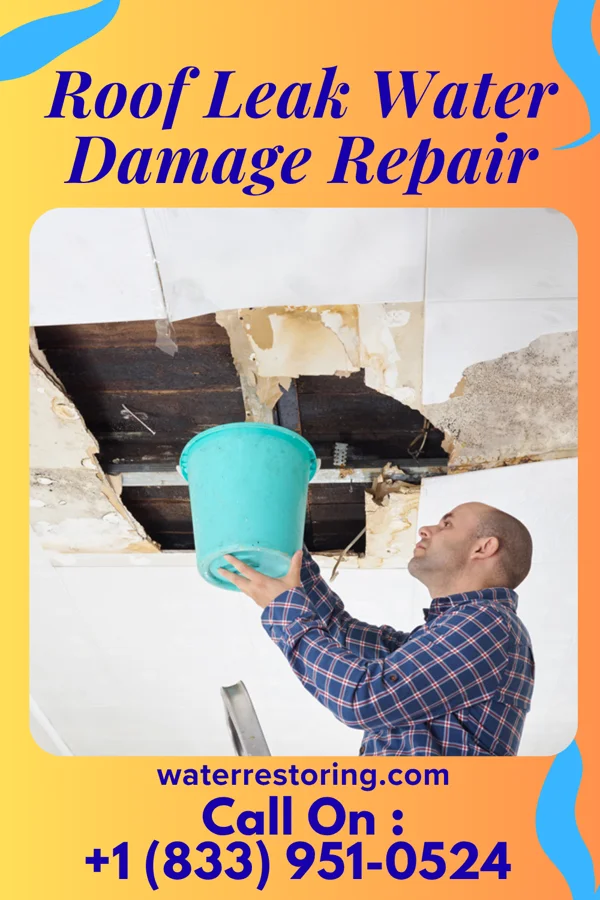 Roof Leak Water Damage Repair in Fayetteville, OH