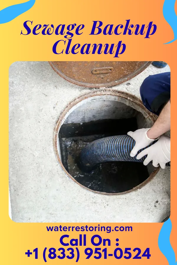 Sewage Backup Cleanup in Fayetteville, OH