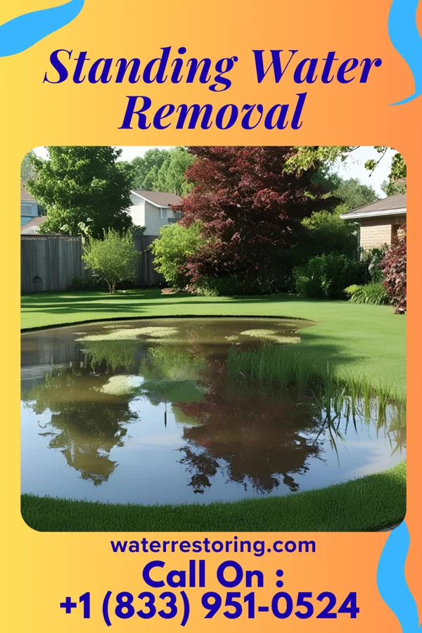Standing Water Removal in Fayetteville, OH